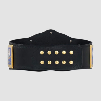 WWE Ruthless Aggression SmackDown Tag Team Championship Replica Title Back Side View